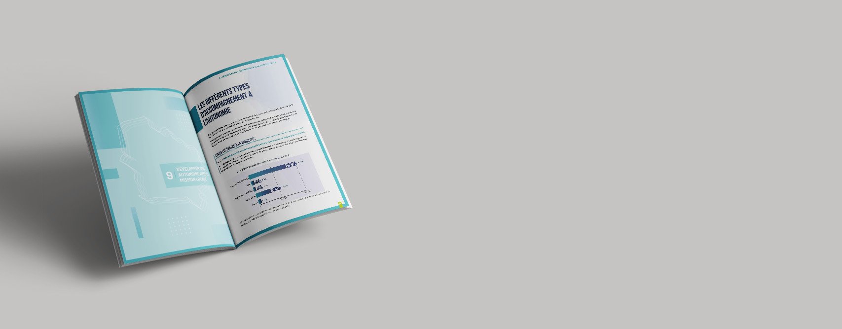 Bilan d'activité AREFIE & Compte rendu d'activité des Missions Locales